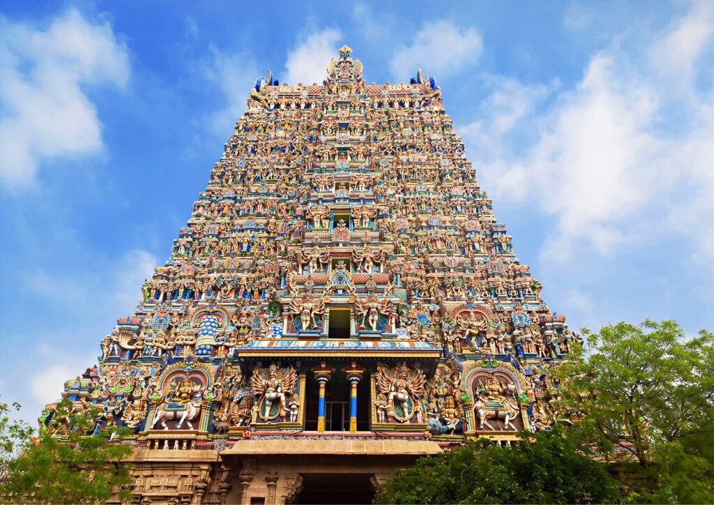 Domestic sb travel website (10)