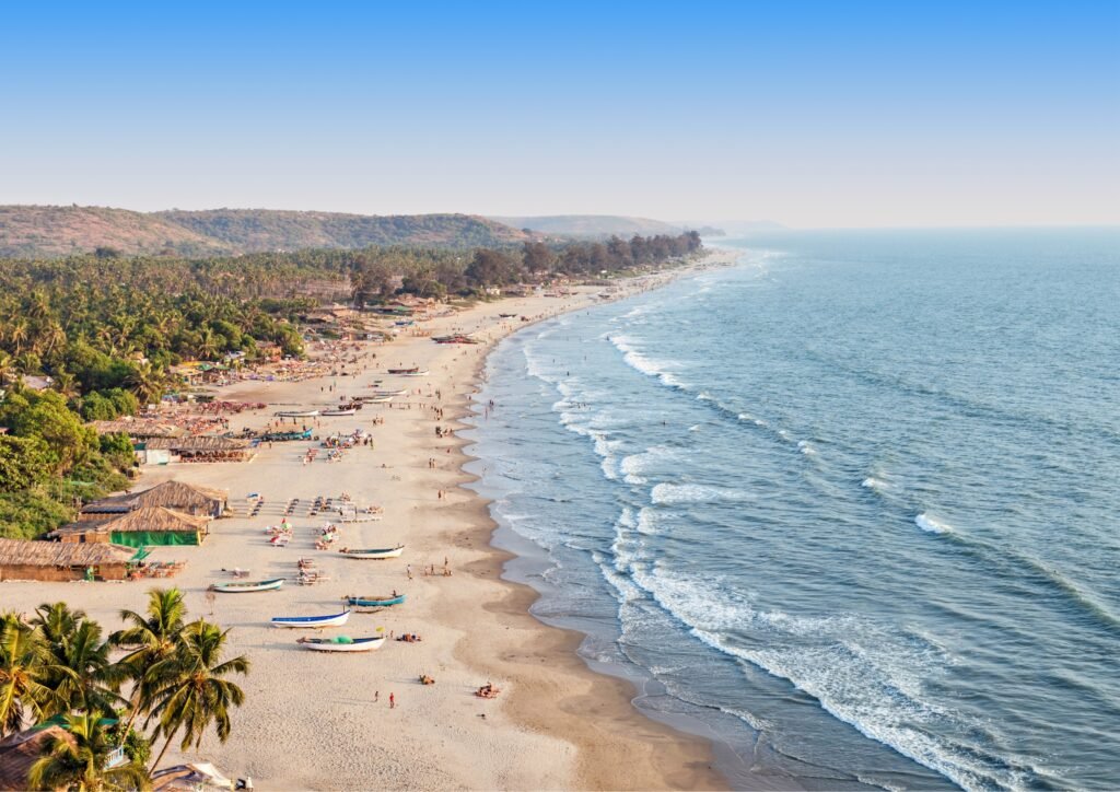 Domestic sb travel website (12)
